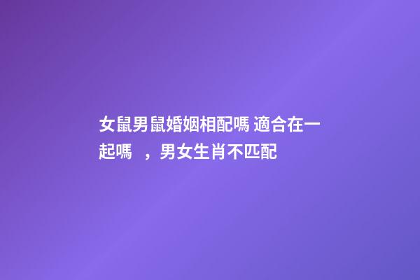 女鼠男鼠婚姻相配嗎 適合在一起嗎，男女生肖不匹配